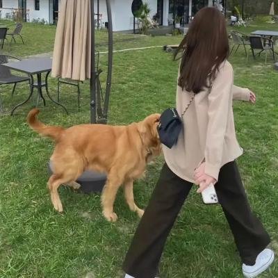 龙套王 在线观看